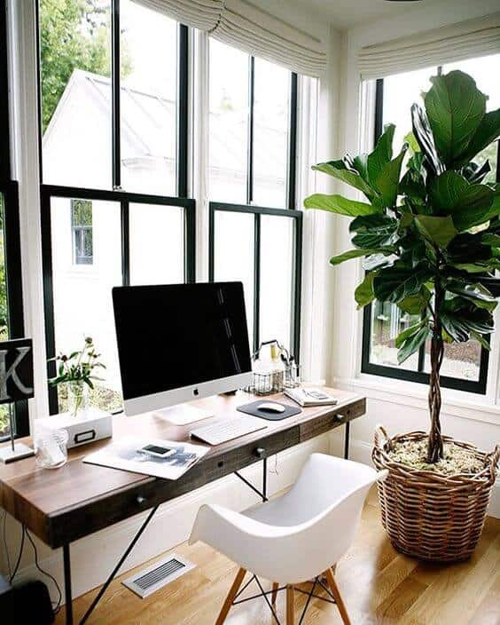 Spacious living room office combo with large windows, wooden desk, modern white chair, sleek monitor, and a tall indoor plant for a refreshing touch.