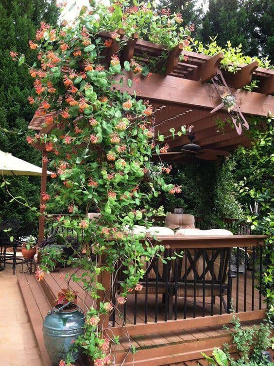 Wooden pergola with slatted roof, vibrant orange blossoms, surrounded by a lush garden. Features seating area for outdoor dining.