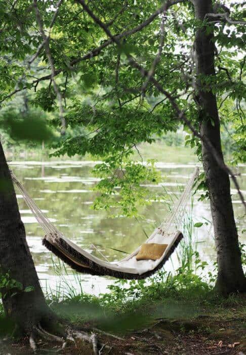 Cozy hammock suspended between two trees, perfect for relaxation by the water, ideal for a budget-friendly backyard makeover.