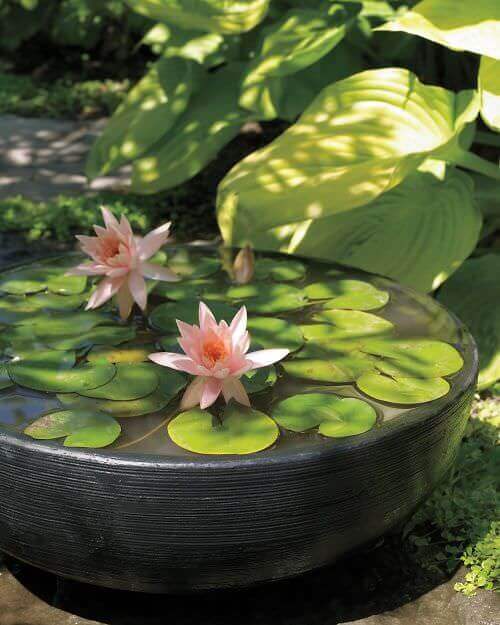Contemporary water feature with a circular black basin, blooming pink water lilies, and green lily pads, enhancing a serene garden.