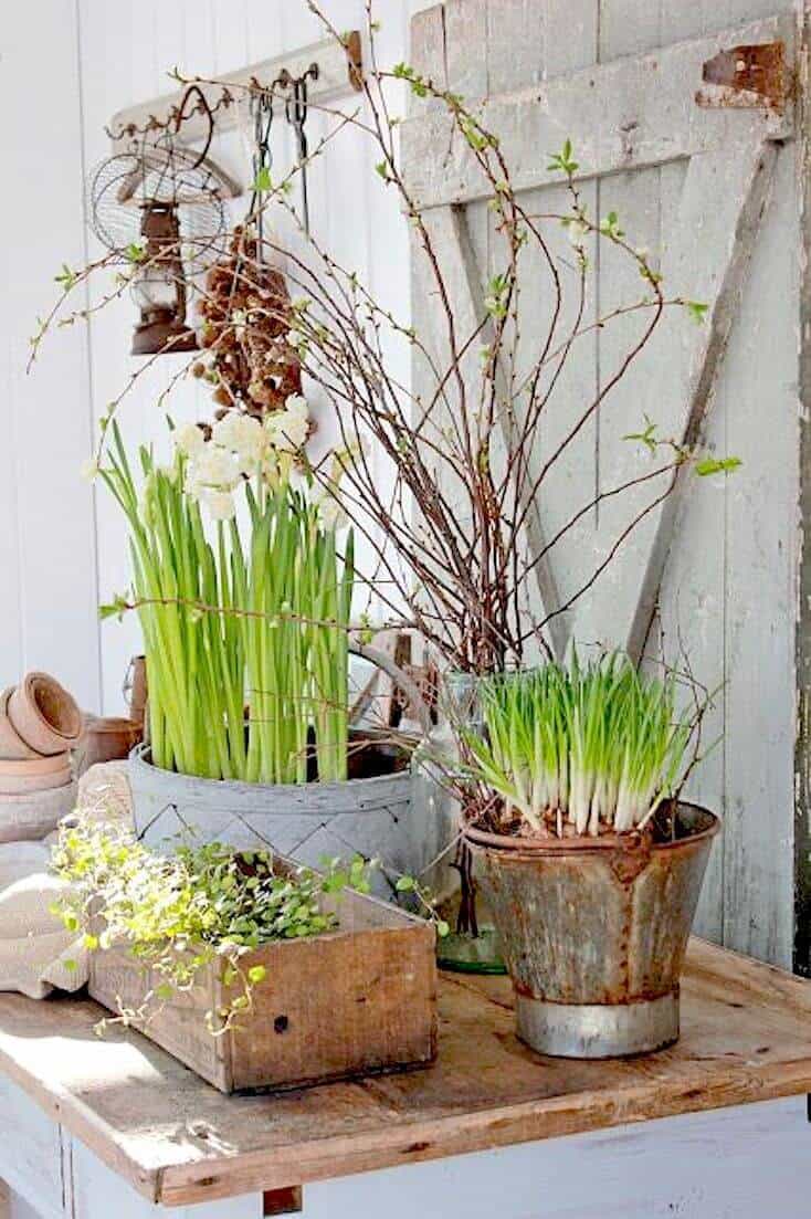 A rustic wooden box and galvanized metal pot filled with vibrant greenery and delicate flowers on a weathered table, enhancing outdoor decor.