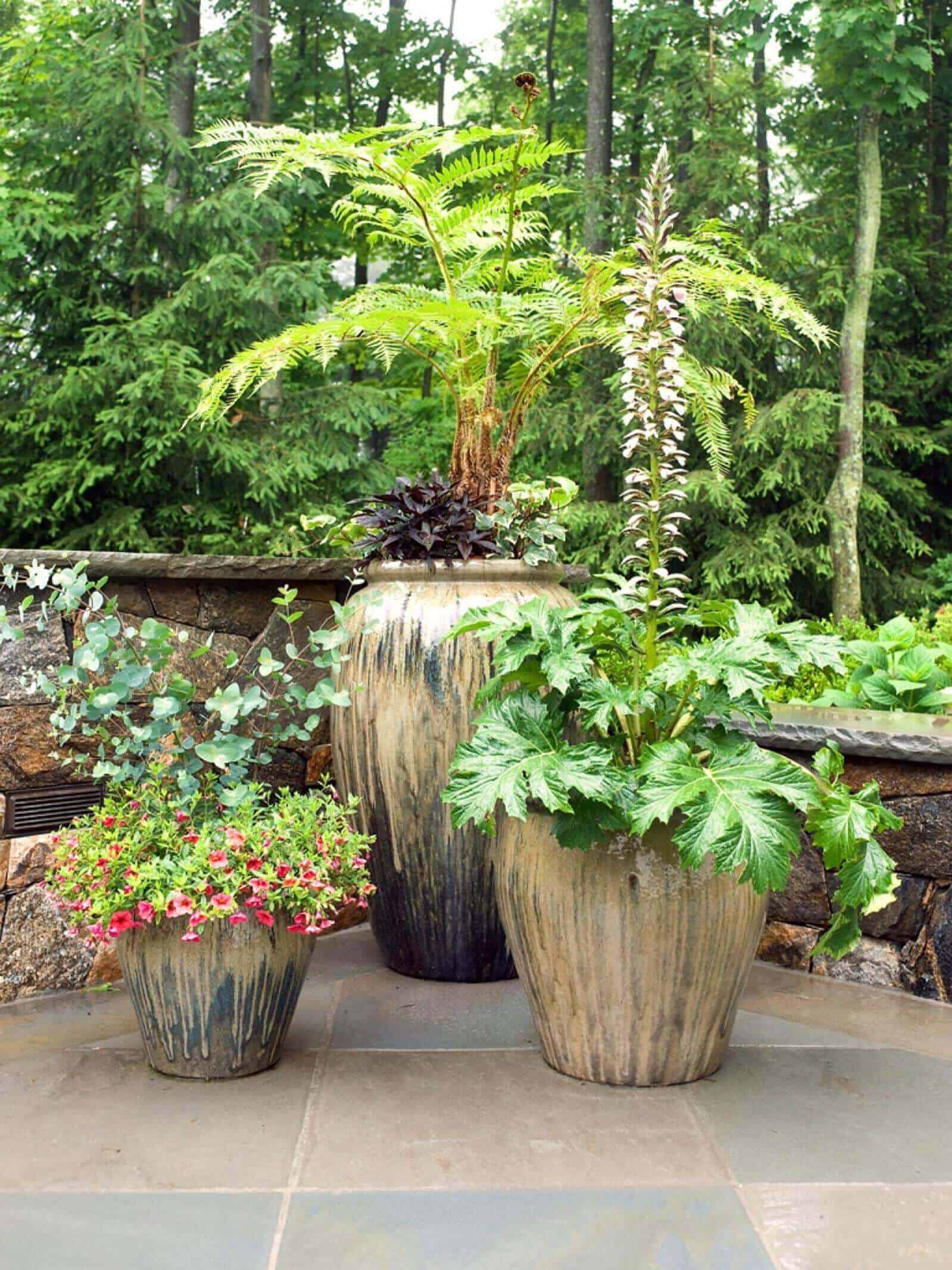 Planters arranged in a natural setting: a medium planter with pink petunias, a tall fern planter, and a large leafy green planter, all ceramic.