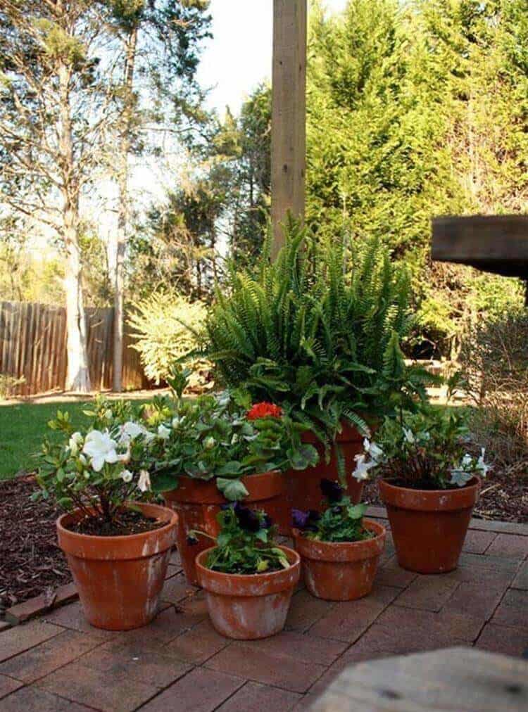 Terracotta pots of varying heights display a vibrant mix of flowering plants and lush ferns on a sunny patio, enhancing garden aesthetics.