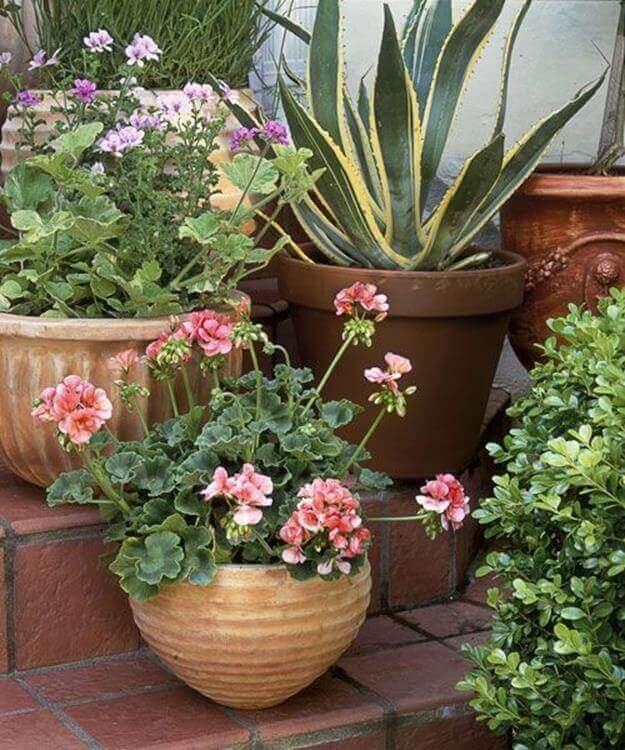 Terracotta and ceramic pots with pink geraniums and green plants arranged on a tiered brick staircase, creating a vibrant garden aesthetic.