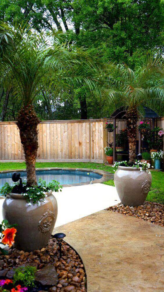 25 Pool Pergola Ideas for a Relaxing Oasis 9 Circular pool surrounded by lush greenery and palm trees, featuring a modern pergola for shaded relaxation in a tranquil backyard oasis.