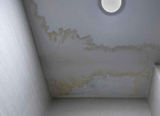Condensation on the Ceiling: Causes and Solutions